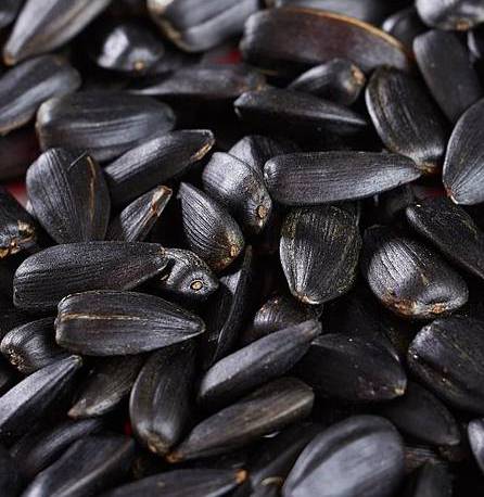 1024px-Sunflower_seeds._img_005 - Copy - Copy